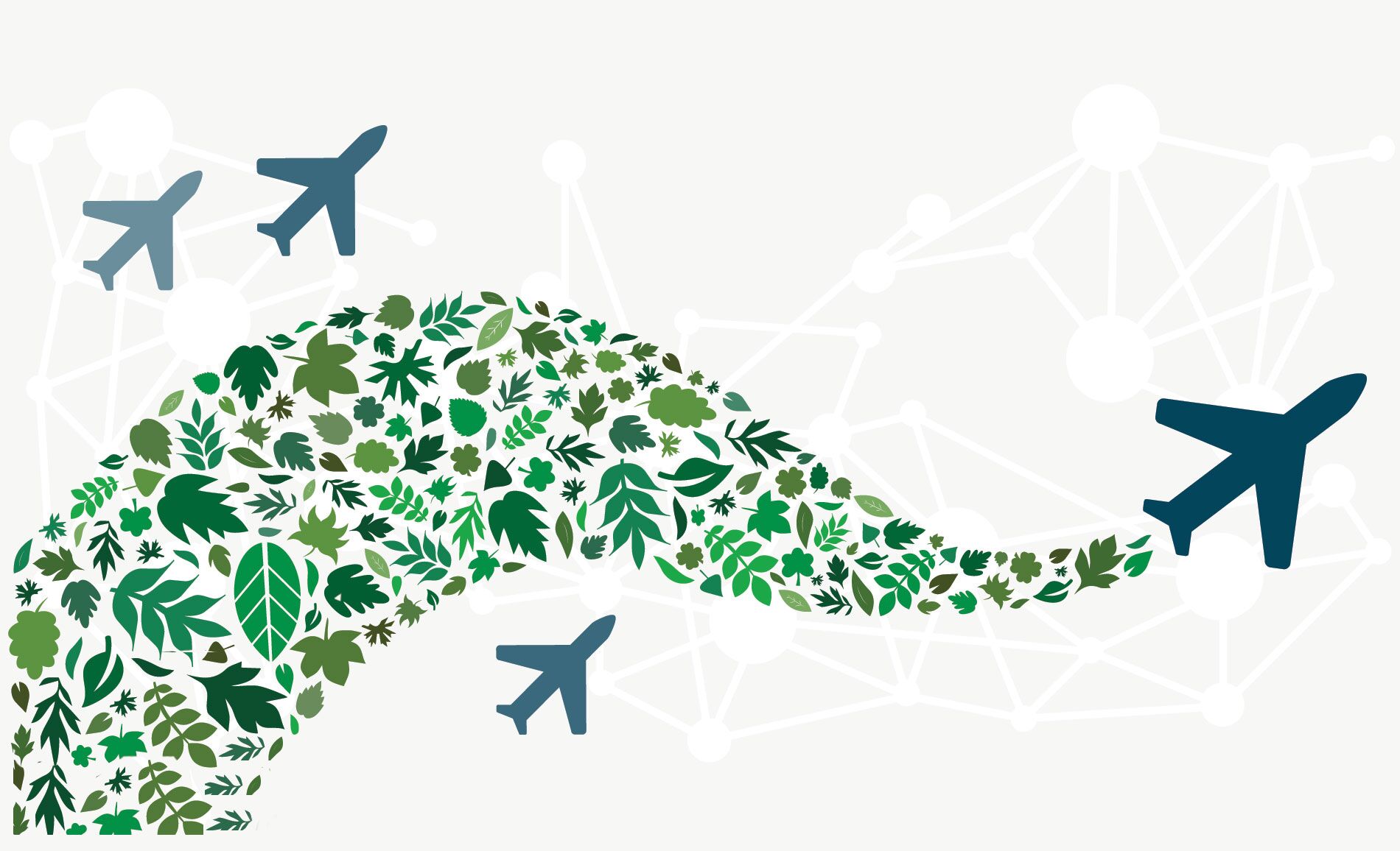 Sustainable aviation fuels are here. Who is using them?