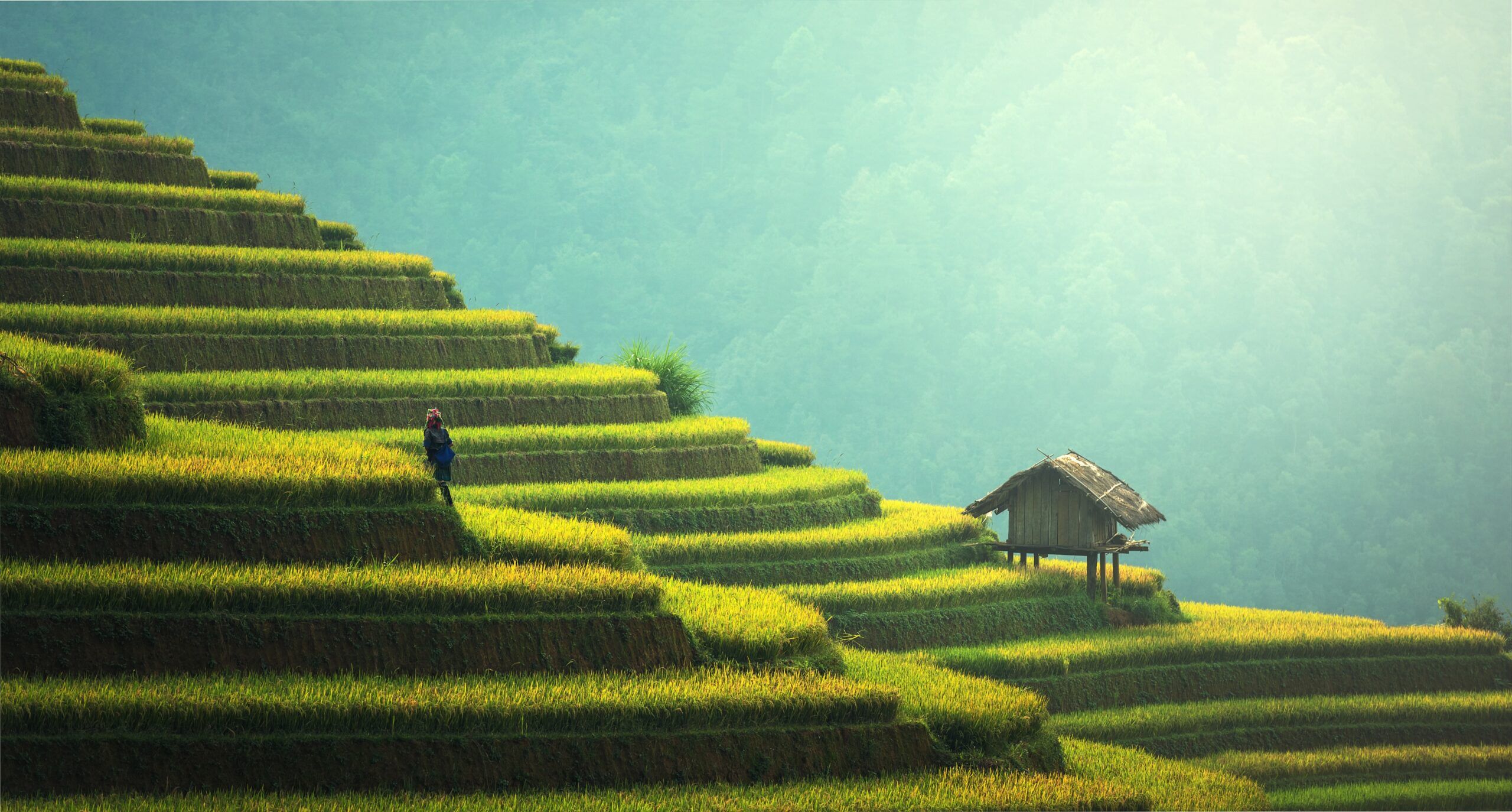 Soil: the bioeconomy’s forgotten asset