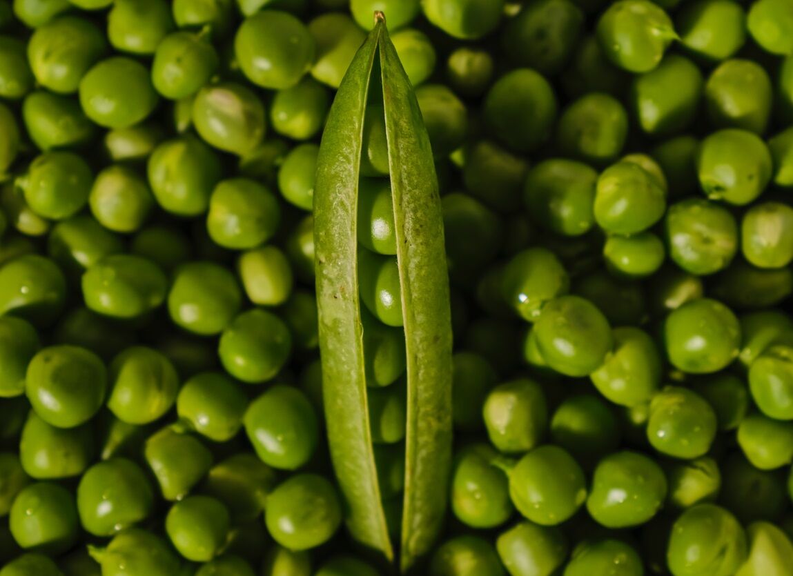 The role of the bioeconomy in climate mitigation Part 2: Agriculture and food
