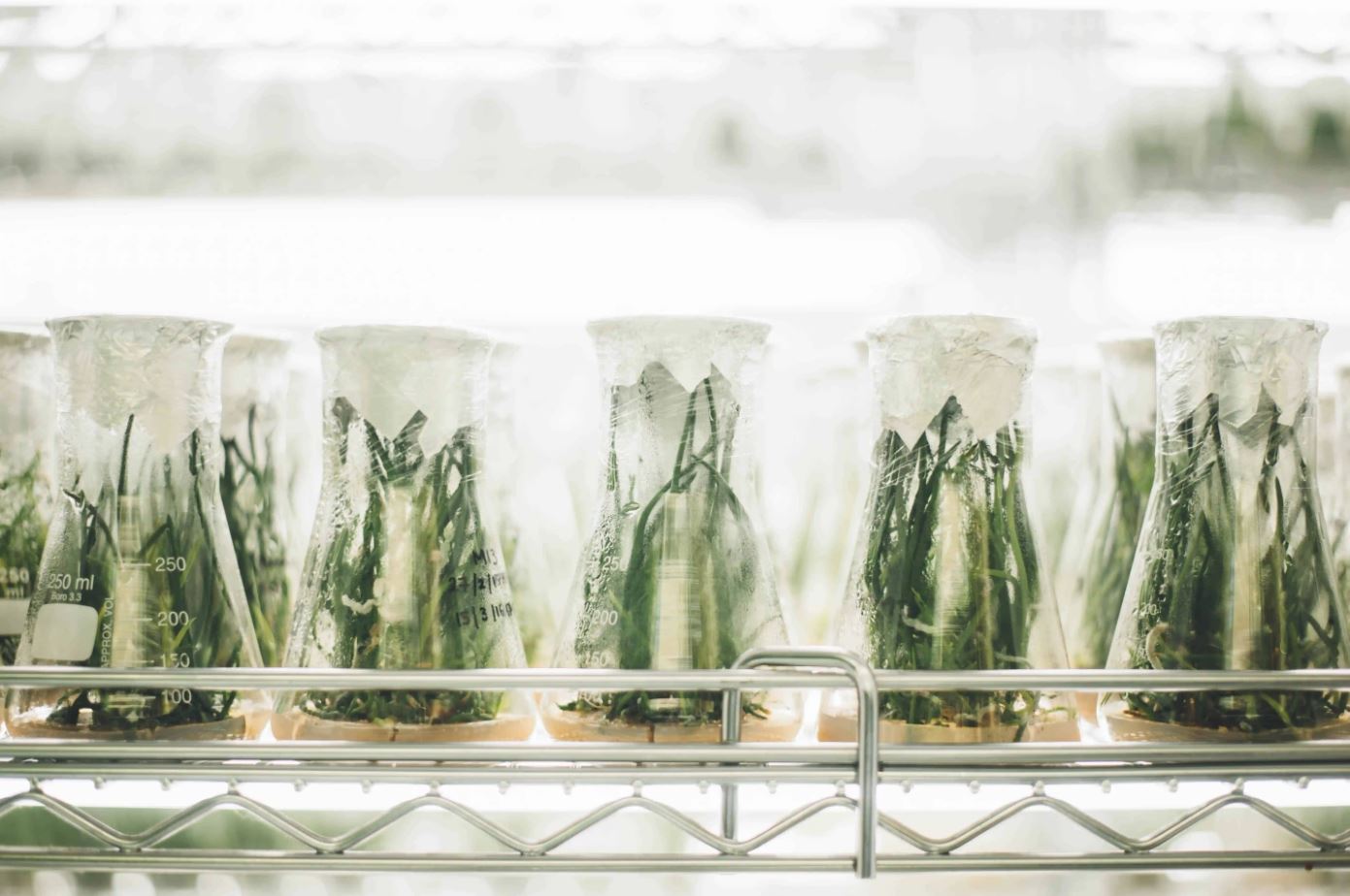 AgXelerators helps transform novel ideas into successful products