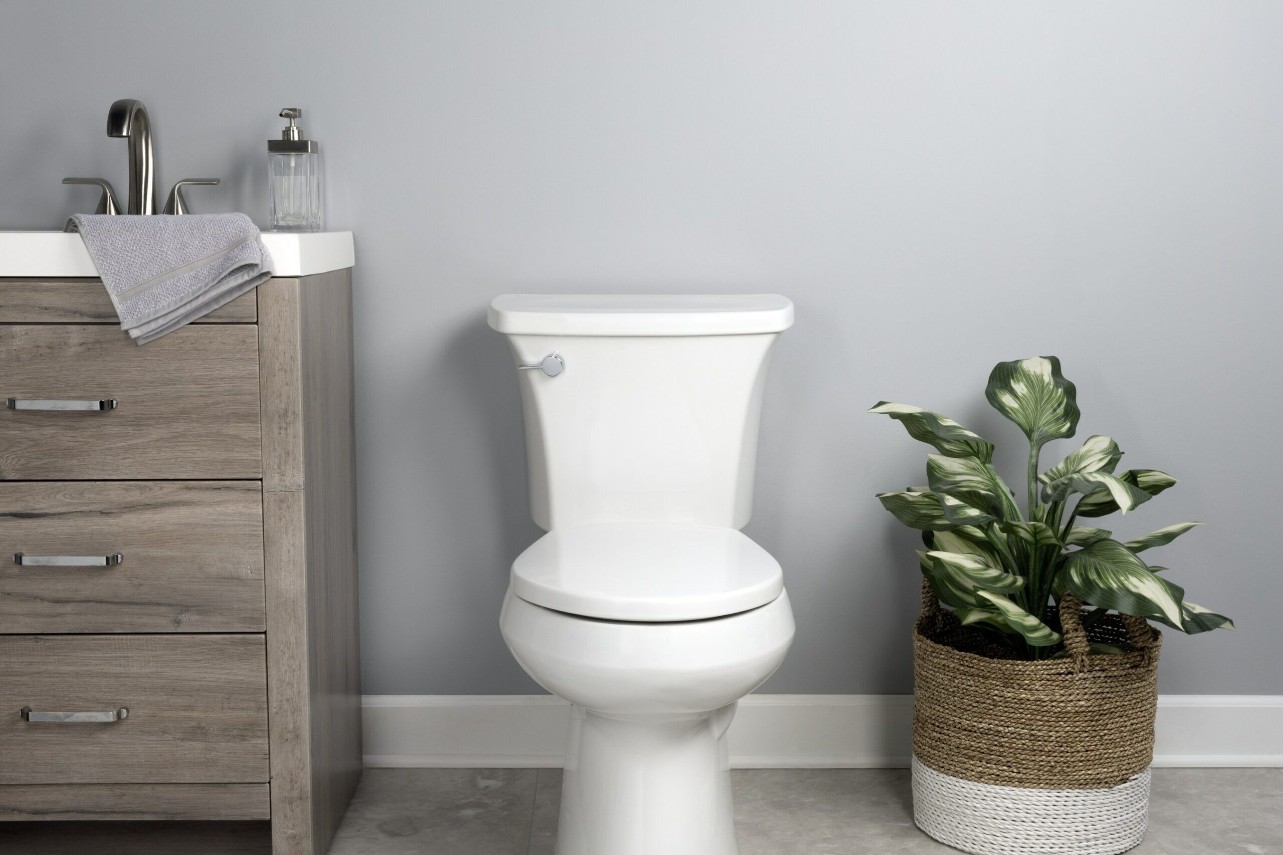 Bemis launches eco friendly Greenleaf toilet seat