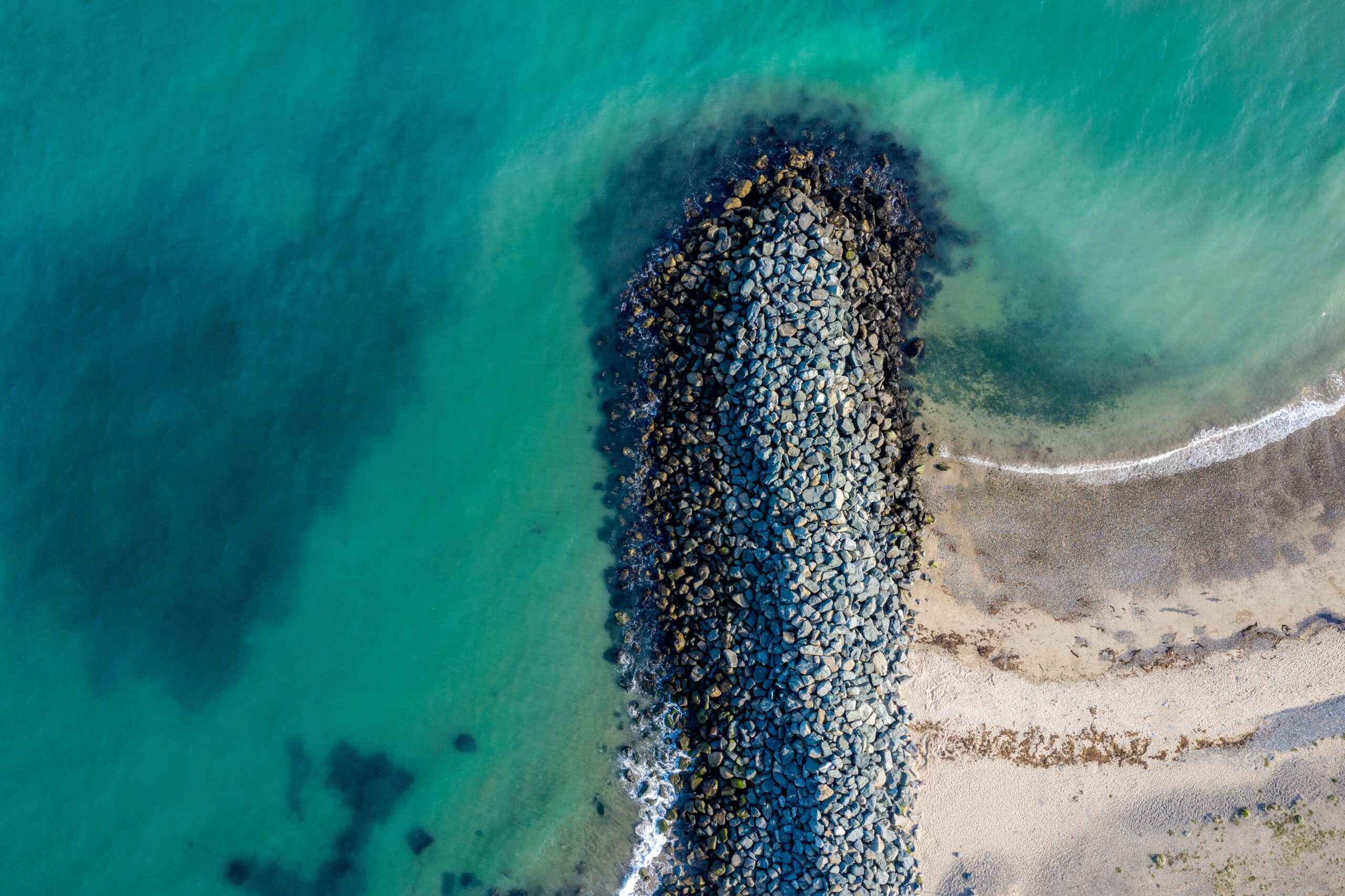 Can Europe’s blue bioeconomy live up to its promises?